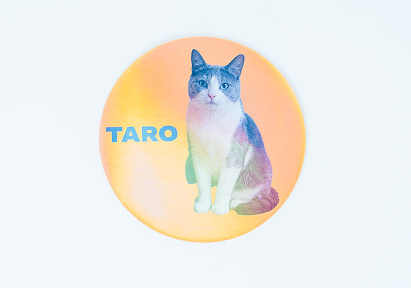 猫の写真と名前「TARO」を入れた丸形のオーロラシール