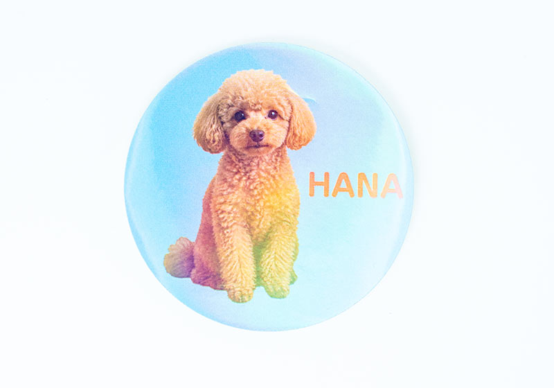 犬の写真と名前「HANA」を入れた丸形のオーロラシール