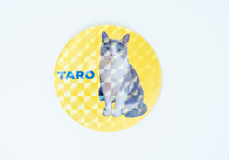 猫の写真と名前「TARO」を入れた丸形のモザイクシール