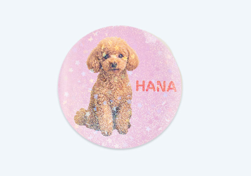 犬の写真と名前「HANA」を入れた丸形のスターシール