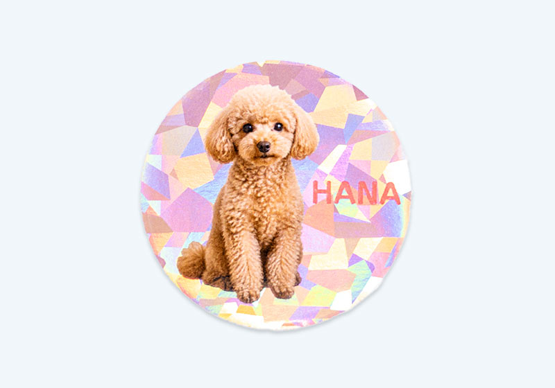 犬の写真と名前「HANA」を入れた丸形のアンダーホロ・クリスタルシール