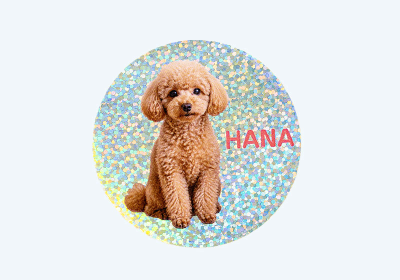 犬の写真と名前「HANA」を入れた丸形のアンダーホロ・ドットシール