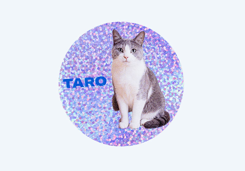 猫の写真と名前「TARO」を入れた丸形のアンダーホロ・ドットシール