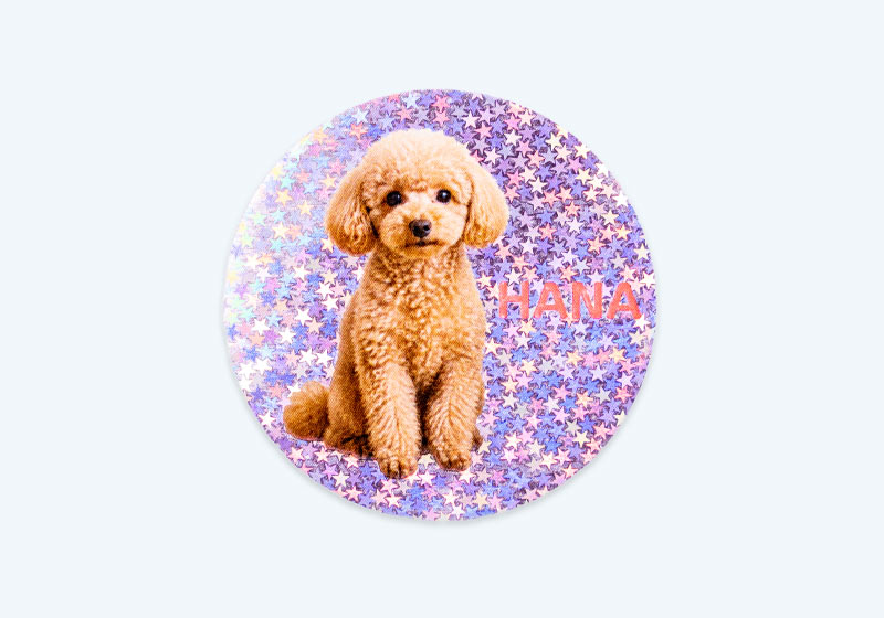 ギャラリー
