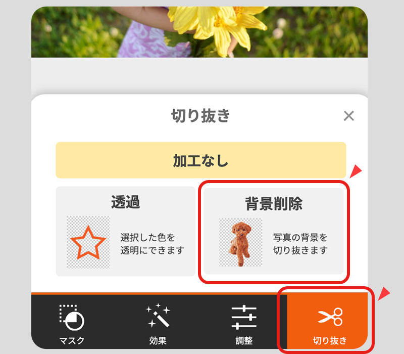 「切り抜き」タブから、背景削除