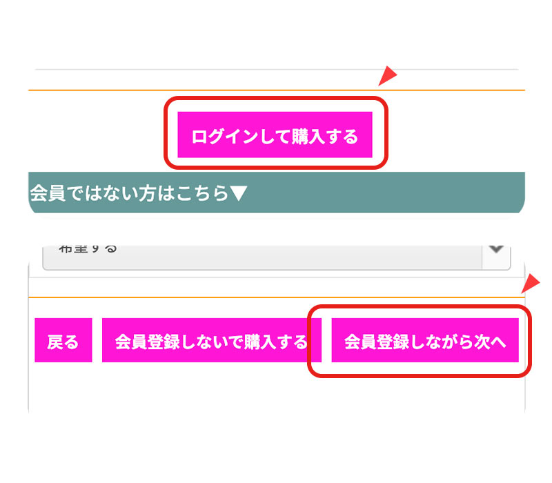 Tシャツを選んでお申込みします 4す
