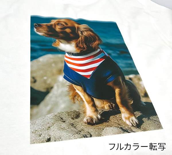 写真のリアルさ、そのままに。